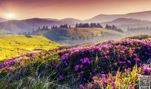 自然界现象谚语