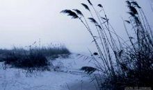 天气自然现象的谚语