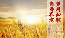 表示同学情谊的句子