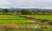 田园风光比喻句