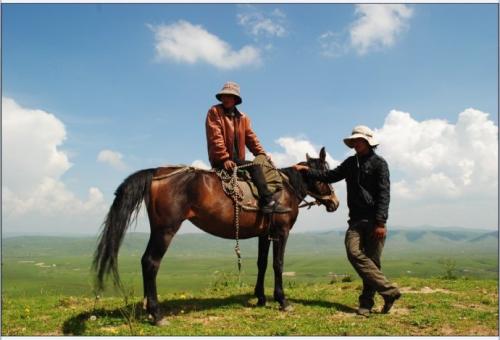 马的拟人化句子