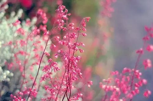 尖锐的婚礼问候