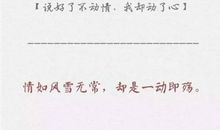 最动人的表白情话