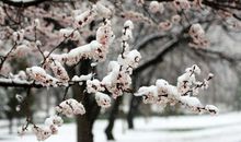 冬天的雪花比喻句