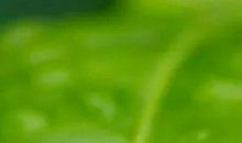 2018流行励志名言