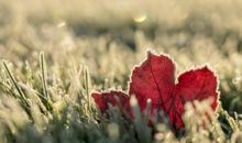 霜降节气祝福语