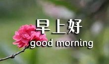 早上成功励志的句子