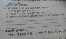 关于鼻子的比喻句