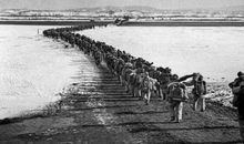 以卵击石的歇后语