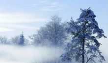 冬天来了比喻句