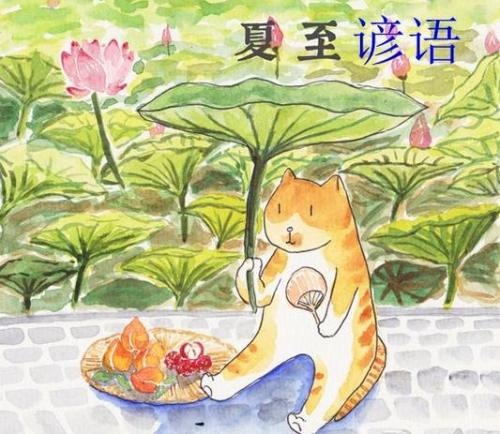 与家庭有关的谚语