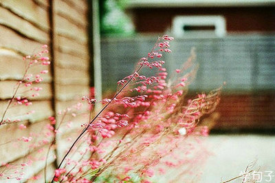 最伤心的一句话经典的一句话:我被你深深地伤害了,但仍然想着你