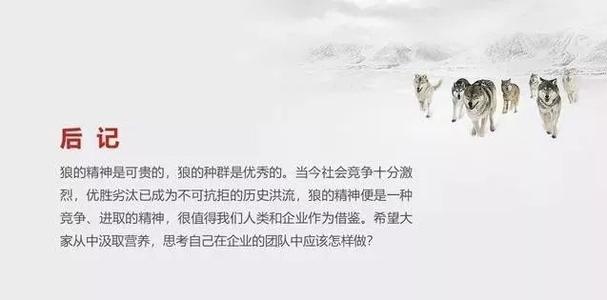 创建狼销售团队的口号