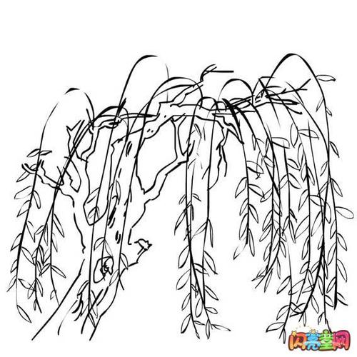 关于柳条的寓言