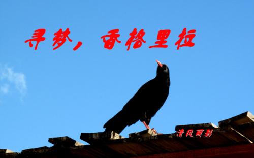 关于信仰的比喻句子