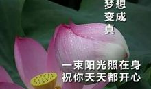 心情短信大全2020