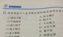 关于兔的谚语大全