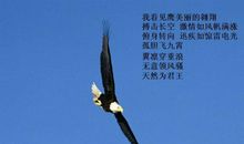 2018年激励自己的话