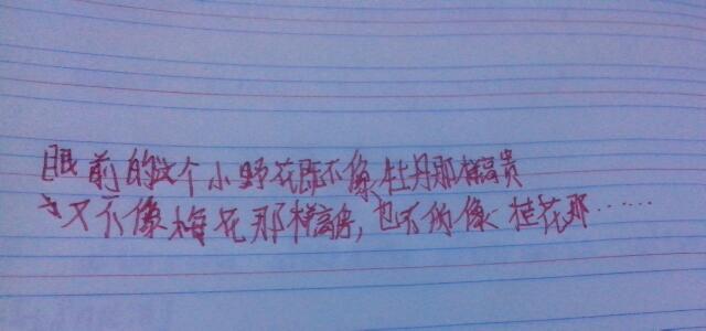 好像是完整的句子