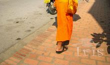 小和尚打伞歇后语