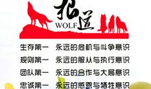 企业团队文化标语