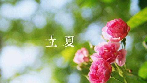 丽霞致客户的问候