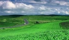 关于山峦的比喻句