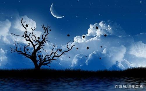 2020年哲学人格签名