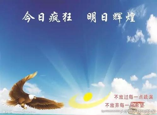 死党的生活报价