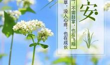 朋友圈早安的说说