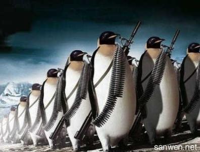 初中体育节的口号是霸气和气势