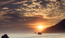 奉献自己的谚语