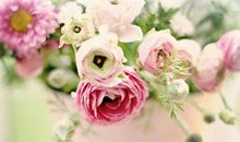 一些打动人心的话