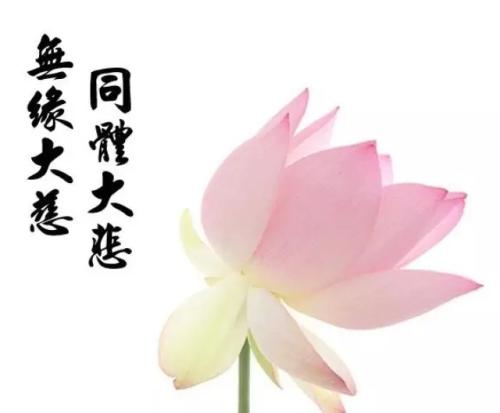 佛陀的话