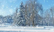 形容冬天下雪的句子