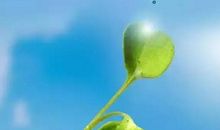 2018励志激励的句子