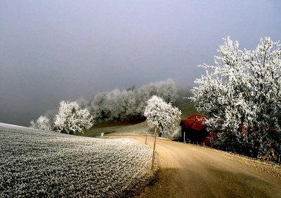 冬季描述性句子