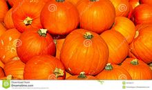 描写南瓜的比喻句