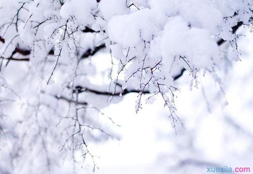 自然法则的箴言