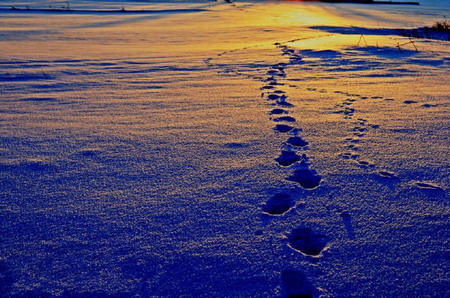 生活可能就是这样，我不知道该如何勇往直前