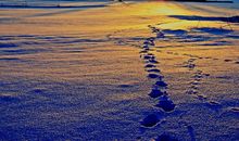 人生也许就是如此，不知前路如何仍要勇敢的向前走