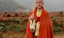 光头打伞歇后语