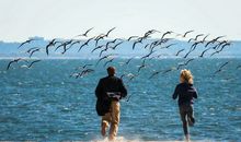 人生前击，悲凉张狂，勇猛精进，山海可平