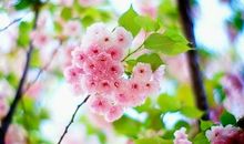 2020年一句话经典