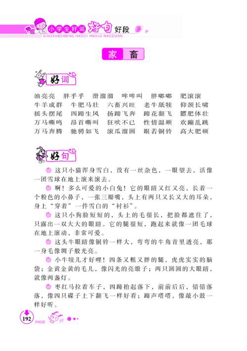 好的单词和句子