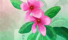 常用二十四节气谚语