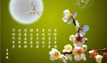 赞美梅花的优美句子