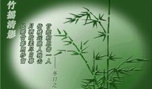 竹子谚语