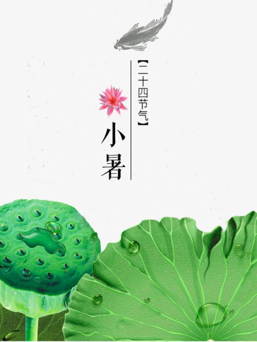 关于小树的24节气谚语