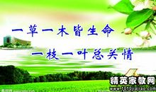 动物的环保标语